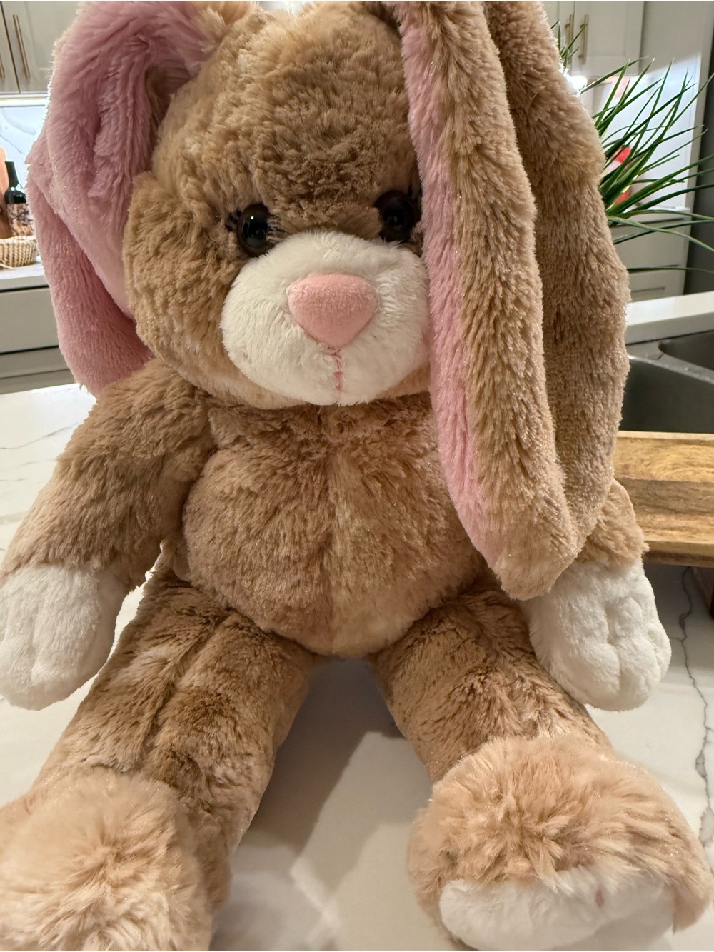 Build a Bear Cinnamon Swirl Bunny Rabbit Plush 18" Flop Ears Tan Beige Pink Nose